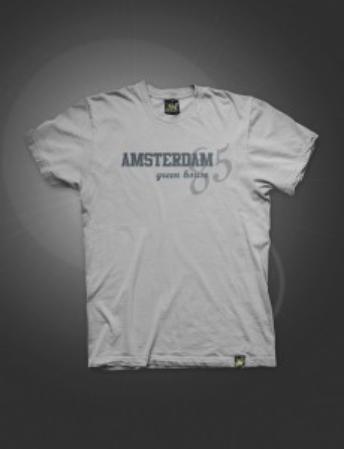Men's T-Shirt Amsterdam 85 Logo, gray (GHS-ATS017)