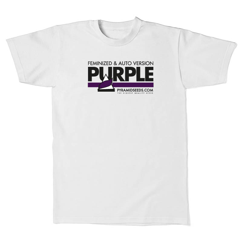 Men's T-Shirt Pyramid Purple