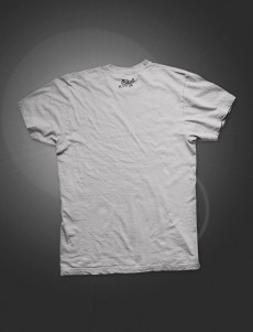 Men's T-Shirt Amsterdam 85 Logo, gray (GHS-ATS017)