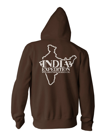 Толстовка мужская, коричневая / India - Logo (GHS-CMH007)